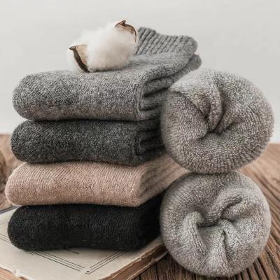 China Winter Breathable Factory Work Terry Cashmere Alpacamerino Wool Soft Thick Warm Socks For Men for sale