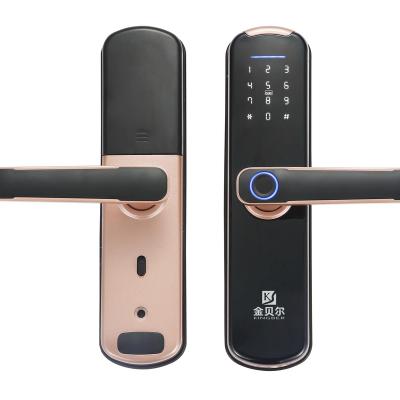 China Tuya WiFi Waterproof App Lock TTT Smart Biometric Fingerprint Door Handle Digital Keyless Lock 250*60mm for sale