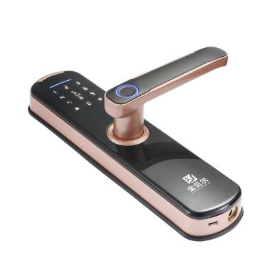 China WiFi BLUE-TOOTH APP Door Handle Security Smart Digital Fingerprint Keyless Door Lock 250*60mm for sale