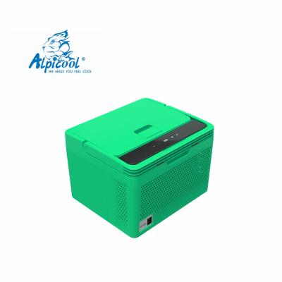 China Mini Freezer Car Fridges 12v Mini Refrigerator For Car 10l Small Car Refrigerator Cold Box Factory and Hot Sale Portable Cooling Fridge for sale