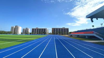 中国 High Resistance Tartan Running Track Made Of Rubber Material Help Constructions 販売のため