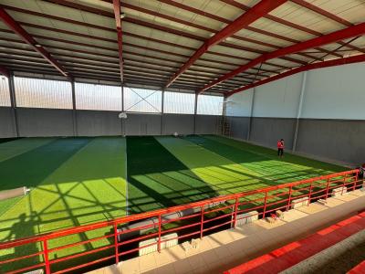 China Proyecto de instalación de campos artificiales de fútbol en Macedonia en venta