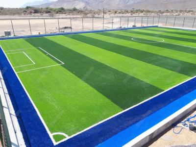 Cina FIFA approva erba artificiale per il calcio da fabbrica cinese fornita e installata in Oman in vendita