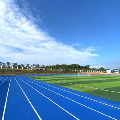 Cina Red and Blue Sports Track Rubber Interlocking Running Track in vendita