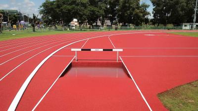 China Top-grade Synthetic Running Track Polyurethane Runway Materials with High Durability zu verkaufen