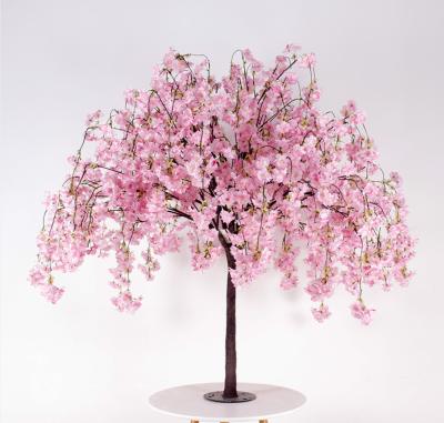 Cina Faux Cherry Blossom Tree Fiberglass Plastic di altezza di rosa 130cm dell'OEM in vendita