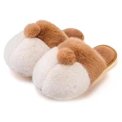 China Fashion Trend Indoor Winter Plush Fluffy Plush House Slippers For Women for sale