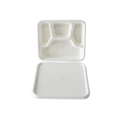 China Disposable Party Bagasse Paper Plates Traditional Sugar Cane Lunch Box Bagasse Food Box for sale