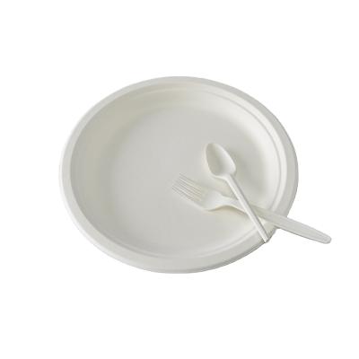 China Modern Compostable Biodegradable Sugar Cane Sugar Cane Bagasse Plate Round Disposable for sale