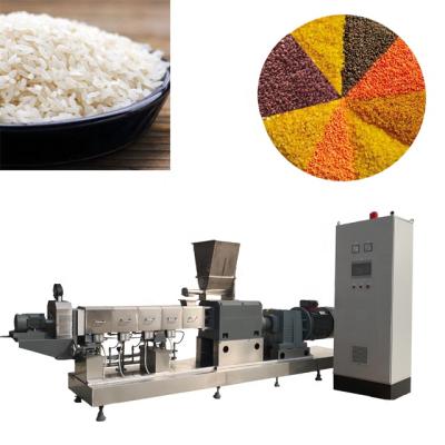 China Snacks Factory Artificial Enriched Rice Making Machine Low Volume Enriched Rice Extruder Machine en venta