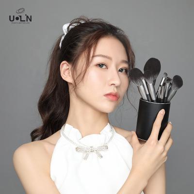 China Angular Blush HOT SALE OEM ODM 12pcs Super Soft High Quality Wooden Horse Hair Luxury Advance Cosmetic Brush Kit for sale