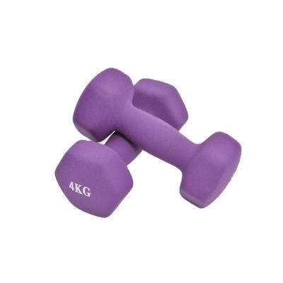 China Universal Manufacturers Supply Women's Solid Plastic-Coated Dip Dumbbells Children's Exercise Dumbbells for sale