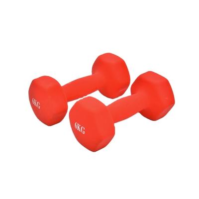 China Universal Factory Direct Training Equipment Hex Dip Hex Dumbbell for sale