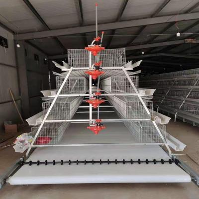 China Easily Install Galvanized Automatic Type A Chicken Cages Layer Poultry For Farm Equipment for sale