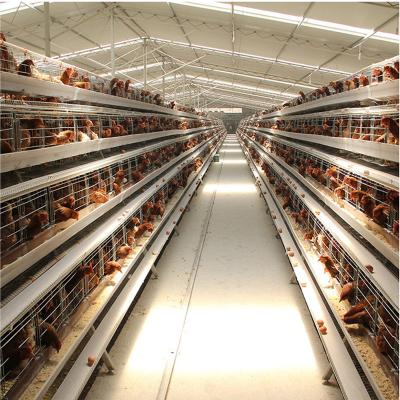 China Easily Install Poultry Farming Equipment Poultry Cages For Layer Egg Hens Layer Chicken Cage for sale