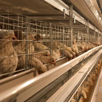 China Easily Install Full Automatic Poultry Farm Galvanized Wire Layer Egg Chicken Cage Battery Cage System for sale