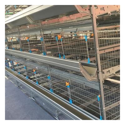 China Easily Install Wholesale Manufacturers Poultry Cage Breeding Equipment Layer Chicken Cage for sale