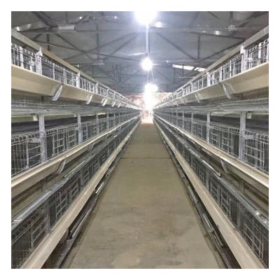 China Easily Install Custom Automation Layer Chicken Cages For Brooder Poultry Farms for sale