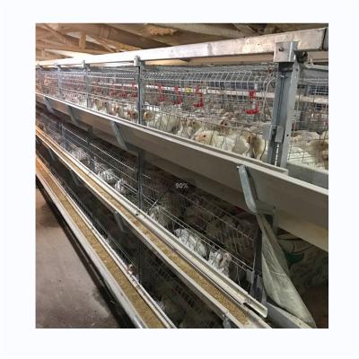 China Easily Install Customizable Automatic Egg Layer Cage Poultry Chicken Cage For Sale for sale