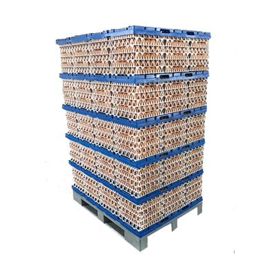 China Farms Egg Packing Combination Transport Tray 10800pcs Egg Transport Tray for sale