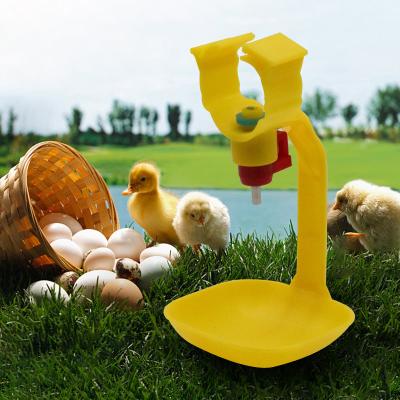 China Long Life Automatic Drinking Chicken Nipple Fountain Card Tube Cup Chicken Hanging Plastic Drinkers for sale