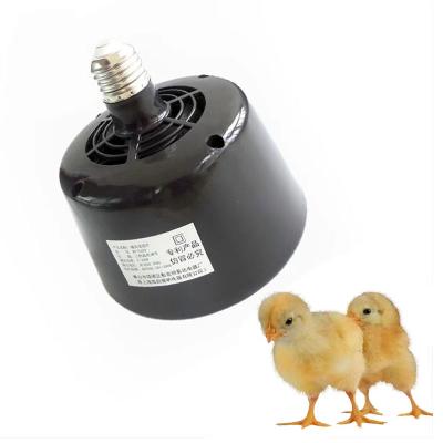 China Polutry Small Chicken Cage Black Insulation Lamp Brood Insulation Heating Lamp Chicken for sale