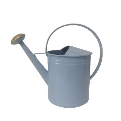 China yx005 OEM iron garden watering can garden plant outdoor metal watering can for sale