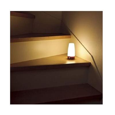 China Small LED Modern Smart Motion Sensor Sleep Aid Baby Bedside Night Light for sale