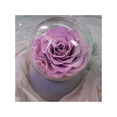 China Romantic popular in the market birthday preserved roses flowers music box gift for sale