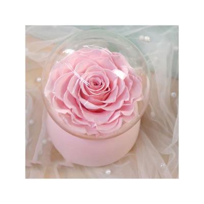 China Best Natural Eternal Preserved Flower In Glass Rose Gift Romantic Music Box for sale