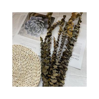 China Romantic ; Environmental Protection ; New design holly flower dried flower arrangement gold eucalyptus wall decoration trend products for sale