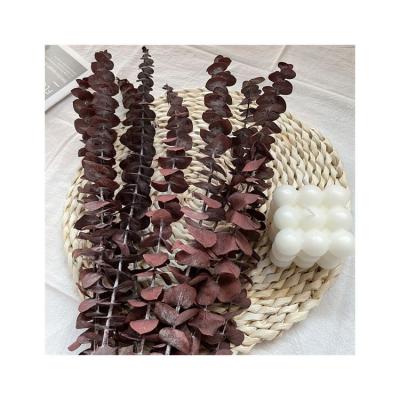 China Romantic ; Environmental Protection ; Fashion Artificial Wreath Leaves Home Decor Lavender Holly Flower Arrangement Mini Eucalyptus Dried Amarantus Stems for sale