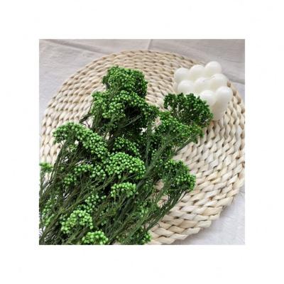 China Romantic ; Environmental Protection ; Best Selling Preserved Flower Bouquet Making Material DIY Dried Mini Happy Flower Colorful Rice for sale