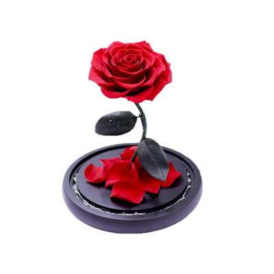 China Durable Top Fashion Mounted In Glass Dome Preserved Beast Flower And Blossom Mothers Day Beauty Gift for sale