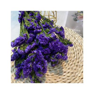 China Factory Sale Natural Dry Color Purple Immortal Flower Forget-Me-Not Flower Bouquet For Home Decor Wedding Wedding Christmas Accessories for sale