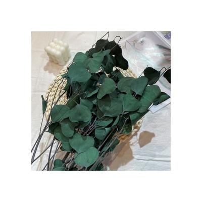 China 2021 Factory Sale Hot Sale Plant Dried Flower Preserved Flower Leaves For Wedding Decoration for sale