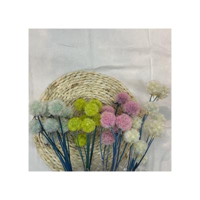 China Home and Party Decoration Flower Fruit Windmill China Yunnan Decorative Preserved Flowers for Wedding for sale