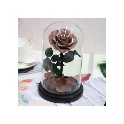 China Wedding Party Preserved Glass Joy Flower Dry Hanging Rose Decoration Party Decor Preserved Flower Rose for sale