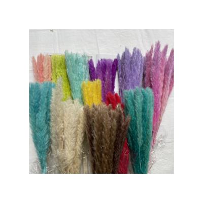 China Small Small Modern Multicolor Dry Dried Artificial Flower Pampas Grass Flower For Home Decor for sale