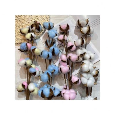 China 100% Natural Dry Artificial Flower Bouquets Single Head Cotton For Wedding Decoration for sale