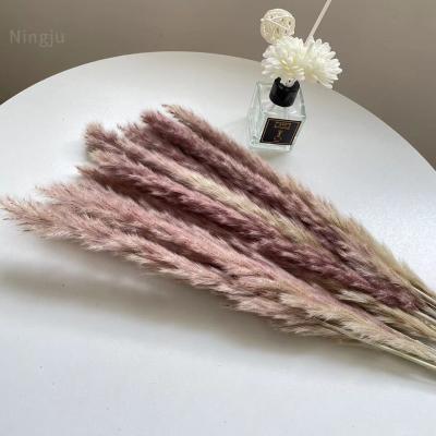 China Wholesale Natural Low Carbon Life Pampas Grass Dry Flower Decorative For Wedding Home Decor Small Pampas Grass for sale