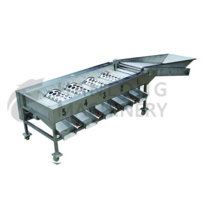 China Industrial Fruit Apple Sorter Fruit Processing Machine for sale