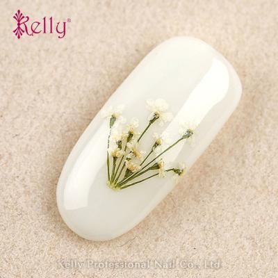 China Decorate Nail 14 Colors Dry Flowers For Nail Art Tips Decoration Real Dry Flowers For Nail Art for sale