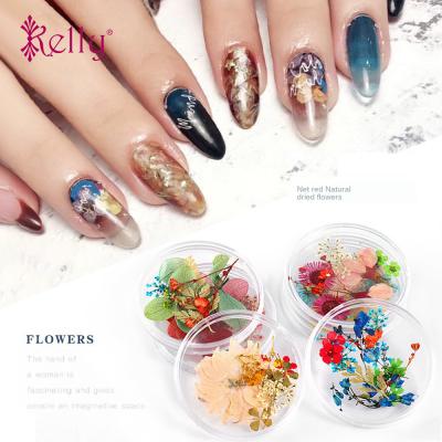 China High Quality Professional Natural Dried Different Colors 3D Flower Decals Set Nail Art DIY Real Dried Flowers Set For UV Gel for sale