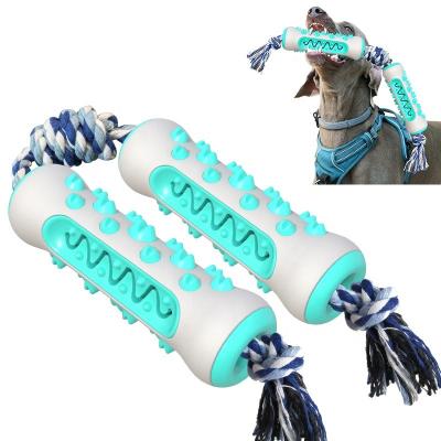 China Hot Selling Sustainable Friendly Durable Squeaky Amazon Plush Interactive Training Rope Cat Dog Pet Toys for sale