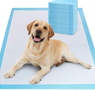 China Puppy Potty Training Pet Pads Stocked Pet Pads Disposable Super Absorbent & Leak Proof Extra Large Free Dog Pee Pad for sale