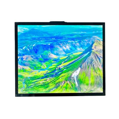 Cina T-CON TFT LCD Modulo TFT Screen 19 pollici Tutto IPS Visualizzazione 470cd Luminosità in vendita