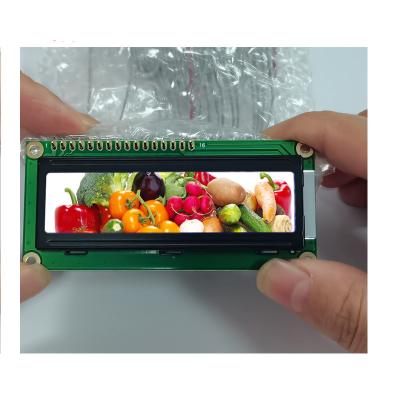 Cina 16x2 2x16 LCD Modulo di visualizzazione LCD riflettente 1602 carattere in vendita