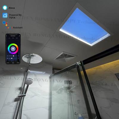 China Rectangle Skylight Panels Simulates Daylight in Your Home for sale