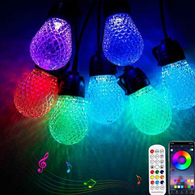 Chine Dimmable 48ft RGB Guirlande Lumineuse Étanche DC12V 15 Ampoules App Control à vendre